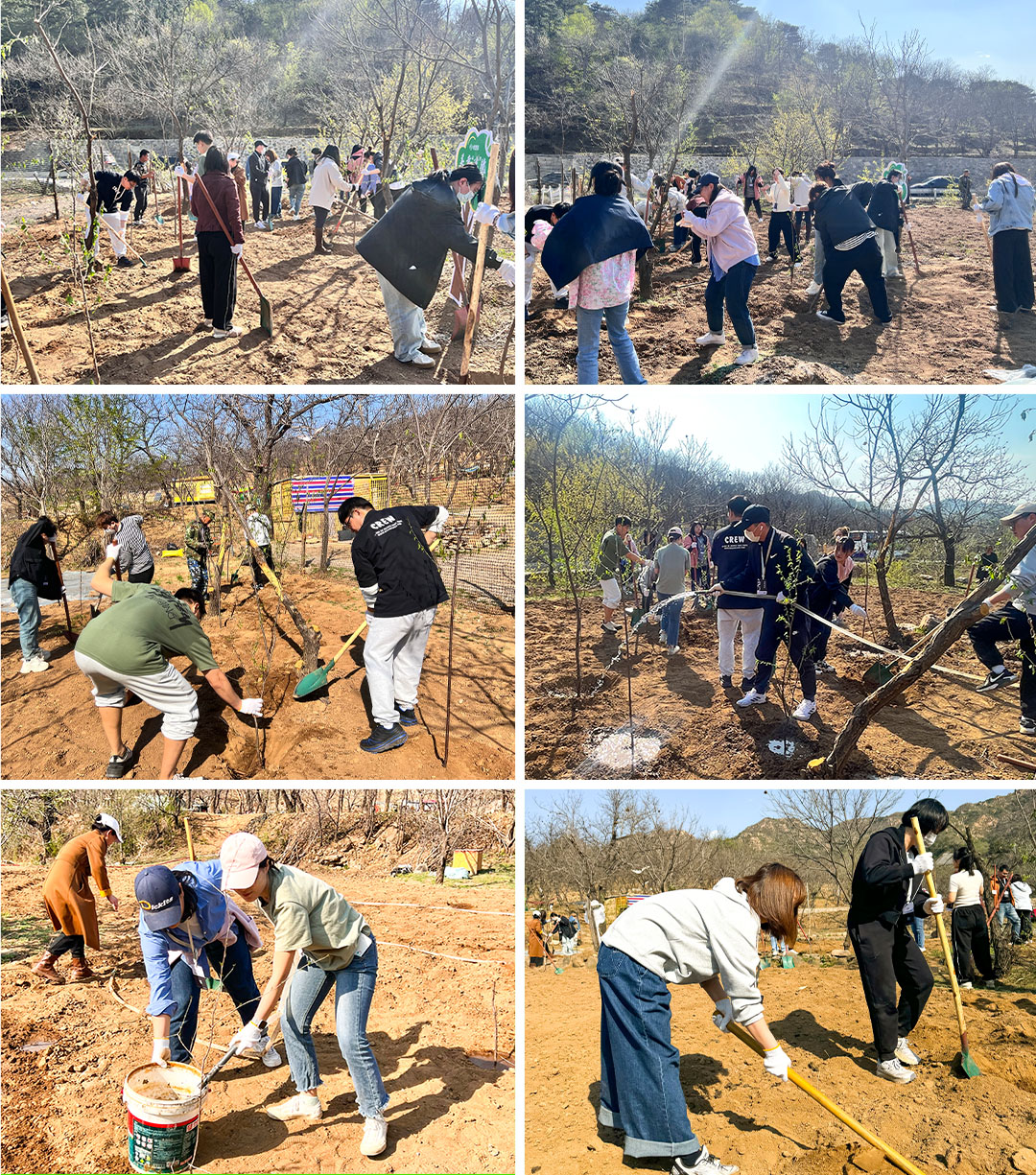 图片 5.png 图片 5.png